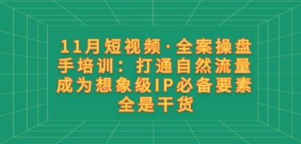 11月短视频·全案操盘手培训：打通自然流量 成为想象级IP必备要素 全是干货-第1张图片-小彬网